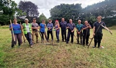 Grass plan to attract wildlife