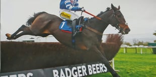 Huge field expected on race day