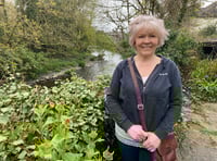 WDBC BY-ELECTION: Tavistock council candidate wants to spruce up town