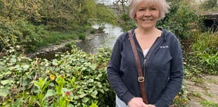 WDBC BY-ELECTION: Tavistock council candidate wants to spruce up town