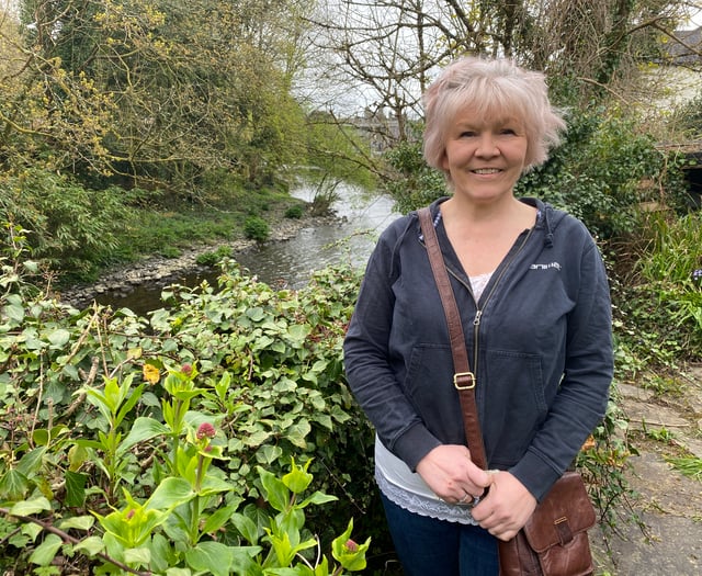 WDBC BY-ELECTION: Tavistock council candidate wants to spruce up town
