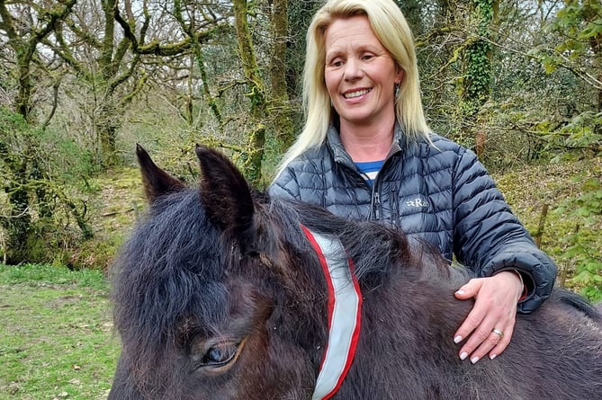Karla McKechnie with a Dartmoor Pony fitted with a reflective safety collar under a new scheme to save them from being hit by traffic.