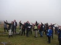 Dawn chorus walk