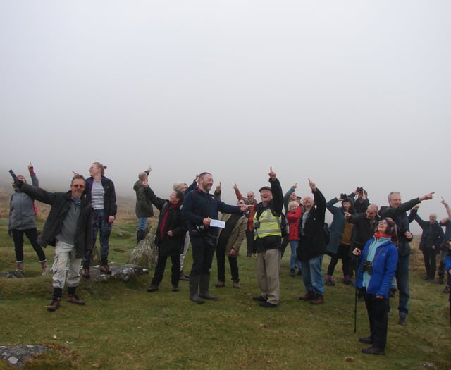 Dawn chorus walk