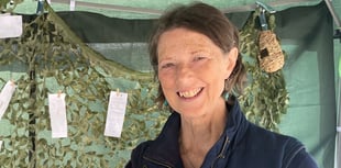 Greens’ plea over Devon devolution carve-up