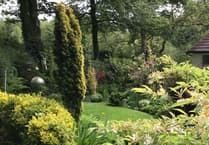 Gem of garden to open for charity