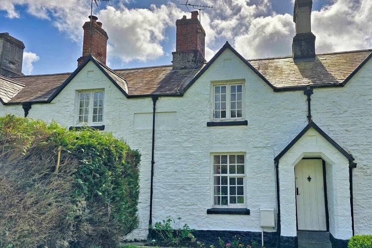 cheapest tavistock