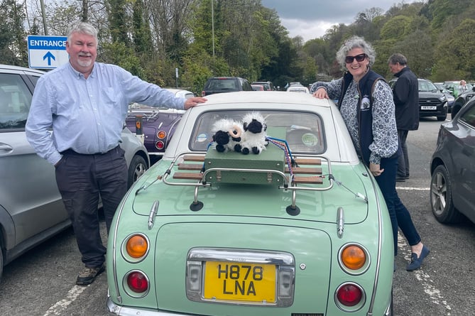 Figaro owners and their Devon sheep toys.