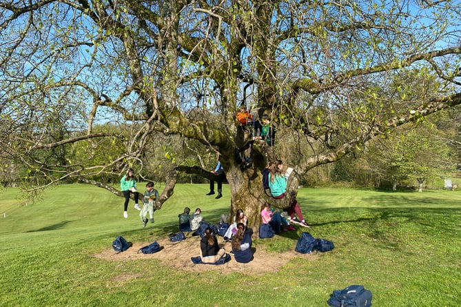 Mount Kelly Prep School College students reading in the tree on Earth Day.