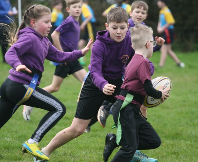 Schools compete at tag rugby