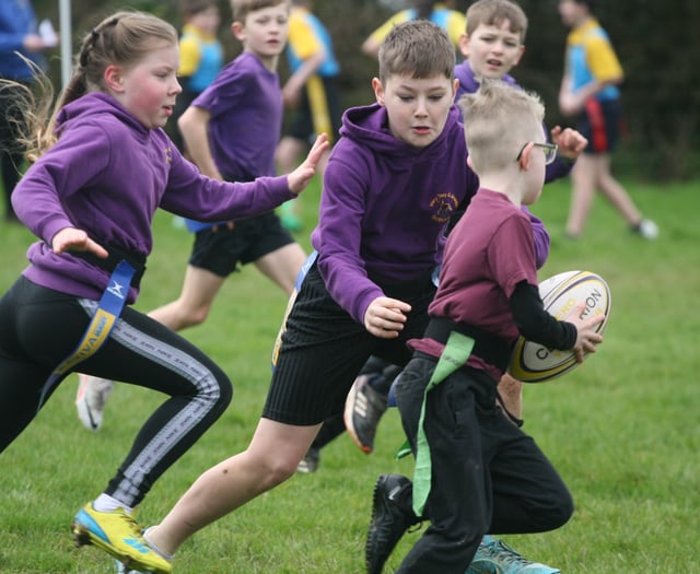 Schools compete at tag rugby