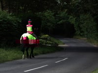 An average 15 horses killed on South West roads every year