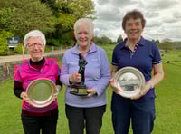 Sue shoots to salver stardom