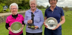 Sue shoots to salver stardom