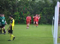 Ilsington earn their stripes against Bees