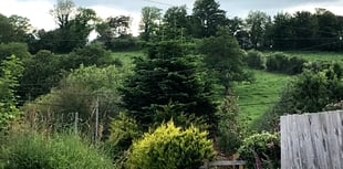 Controversial Lamerton homes given green light