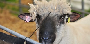 Gearing up for Devon's big days out