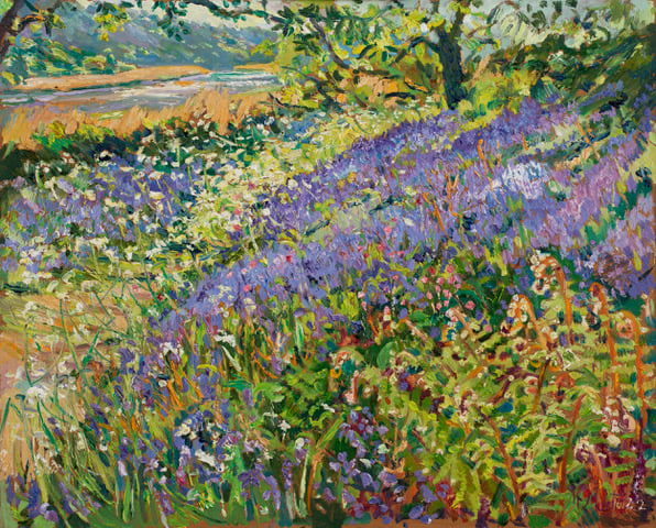 Bluebells and the river at Cotehele at Mary Martin