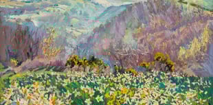 Evocative paintings of Tamar Valley