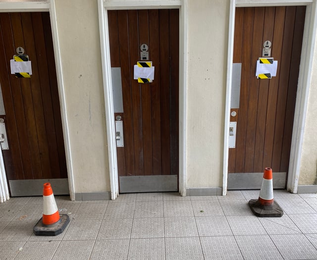 Tavistock toilet vandalism arrests