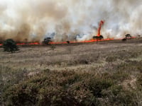Call for vigilance after wildfire surge on Dartmoor