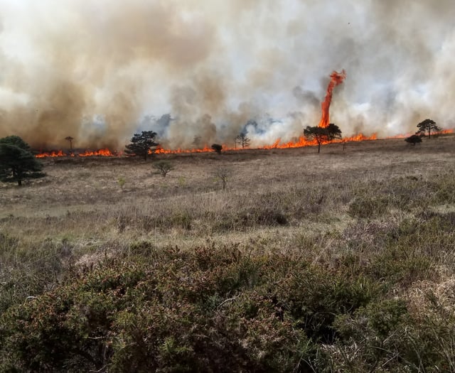 Call for vigilance after wildfire surge on Dartmoor