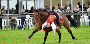 Ultimate horsepower at Devon County Show