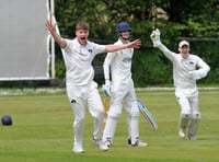 Troubled Tavi and Bridestowe bounce back