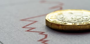 Understanding Market Fluctuations and Local Investments