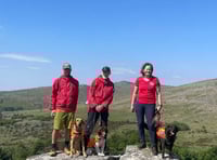 Search dogs qualify