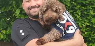 New police inspector enlists help of therapy dog