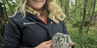 Baby owl rescued