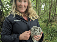 Baby owl rescued