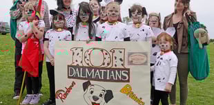 Bere Alston Carnival