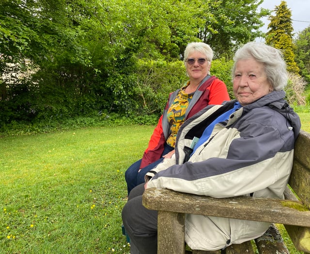 Green space in villager's memory backed by community