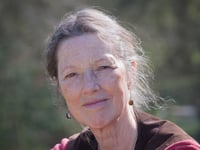 Green Party Central Devon General Election candidate
