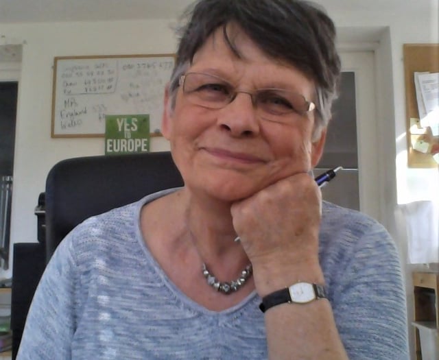 Green candidate hopeful in Torridge and Tavistock