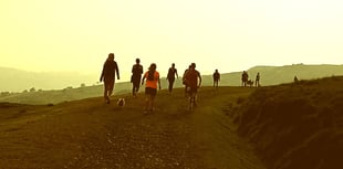 Princetown firefighters' charity race invite