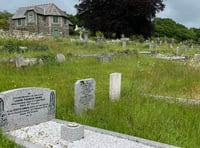 Green area rewilding sparks debate in Calstock parish