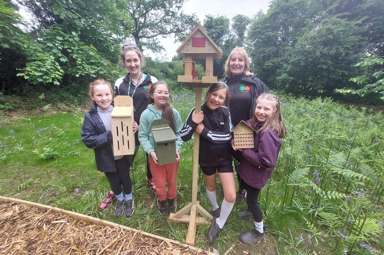 St Peters pupils get wildlife ready!