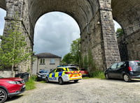 Man found dead under Tavistock viaduct