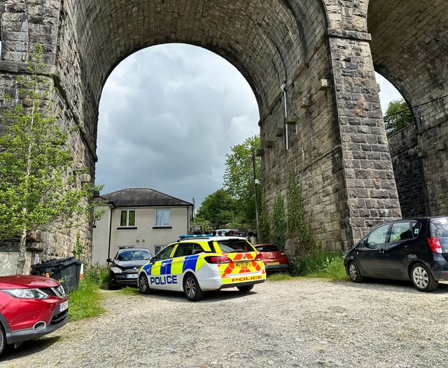 Man found dead under Tavistock viaduct