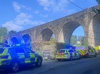 Emergency services attend Tavistock incident