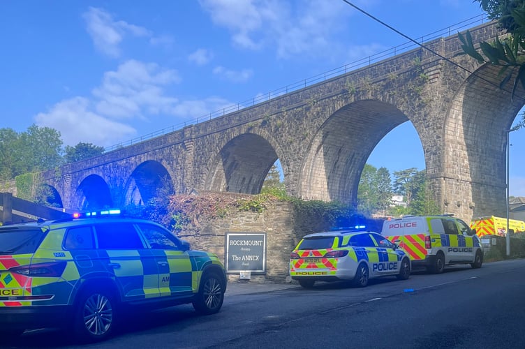Emergency services attend an incident on Drake Road, Tavistock., this morning.