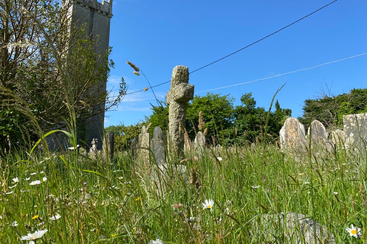 Bere Ferrers churchyard is due to have a trim by West Devon Borough Council .