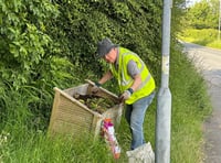 Callington Lions begin park restoration