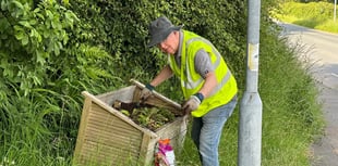 Callington Lions begin park restoration