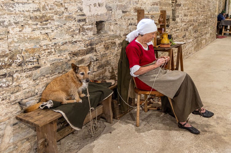 Buckland Abbey's Fathers' Day medieval event included a woman knitting and her patient dog.