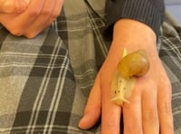 Tavistock College enlists snails to boost wellbeing