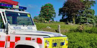 Dartmoor walker and dogs rescued